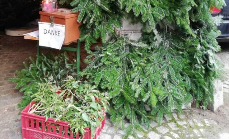 Aussuchen, einpacken und fertig! (Foto: privat)
