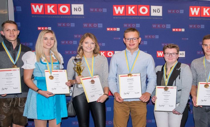 Die besten Lehrlinge aus dem Bezirk Scheibb. Foto: WKNÖ/Kraus