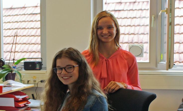 Die Stadtgemeinde Schärding stellt jährlich rund 20 Ferialkräfte ein. Foto: Stadtgemeinde