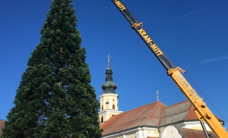 Der 18 Meter hohe Baum wurde in Schärding aufgestellt. (Foto: Stadtgemeinde)