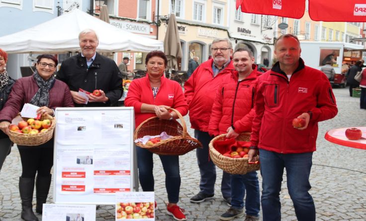 Mitglieder der SPÖ des Bezirks Schärding beim Wochenmarkt (Foto: SPÖ)