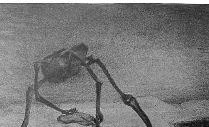 "Epidemie“ von Alfred Kubin (Foto: Kubin)