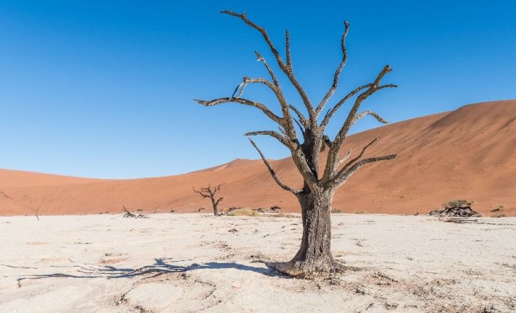 In St. Willibald findet ein Vortrag über Namibia statt. Foto: (Emprechtinger)