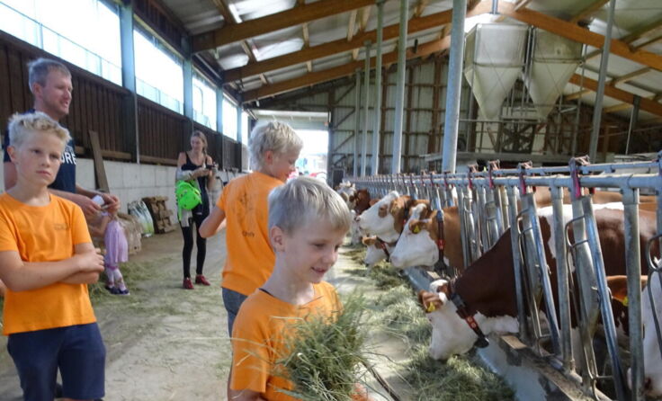 Auf dem Programm stand unter anderem eine Stallführung. (Foto: Stefanie Schauer)