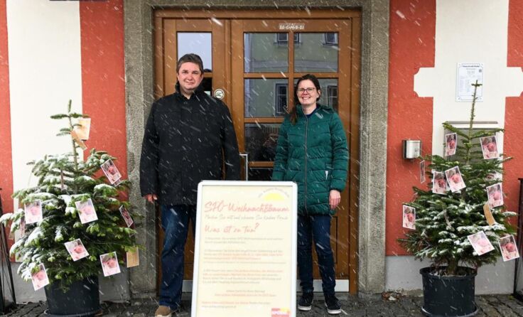 Auch in Riedau gibt es einen SPÖ-Weihnachtsbaum. (Foto: SPÖ)