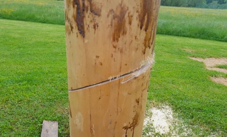 Unbekannte haben den Maibaum angesägt. (Foto: Tiefenthaler)
