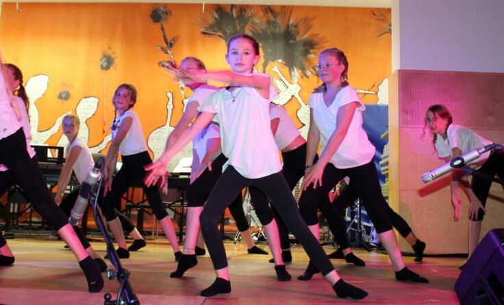 Schüler der Mittelschule Andorf. (Foto: MS Andorf)