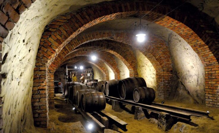In der Kellergröppe findet eine Biermesse statt. (Foto: Bierregion Innviertel)