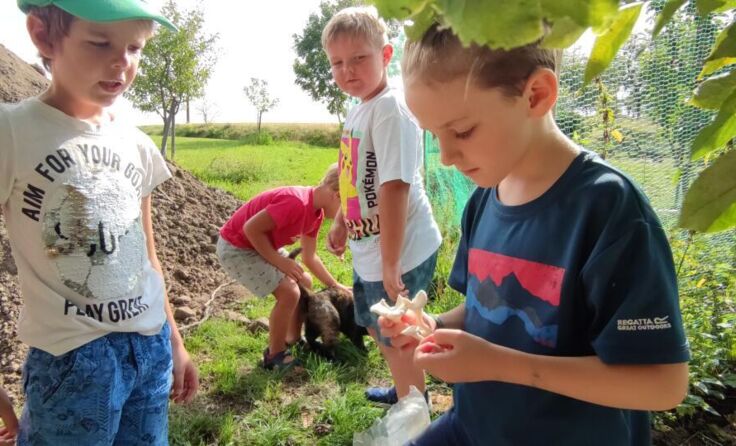 Alles Wissenswerte über die Pilze erfuhren Kinder aus Enzenkirchen. (Foto: Privat)
