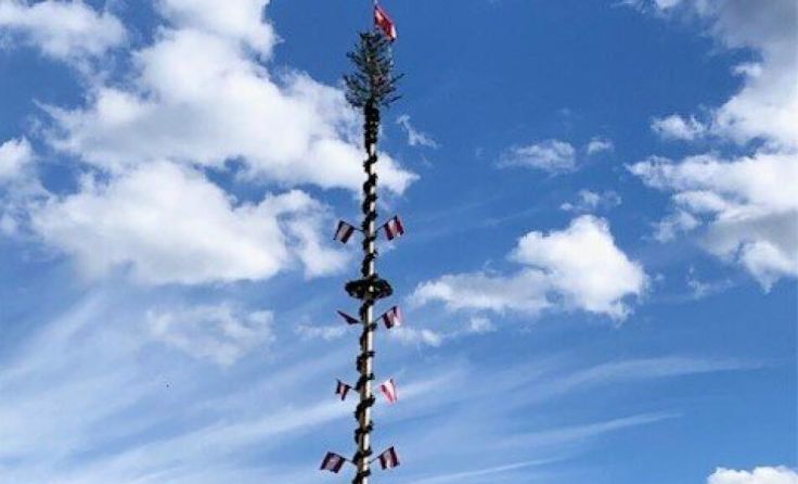 Der fertige Maibaum steht beim Schmidwirt in Waldzell (Foto: PV Waldzell)