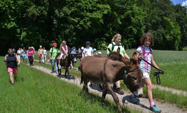 Die Eselswanderung findet am Pfingstmontag in kleinen Gruppen statt. Foto: Privat