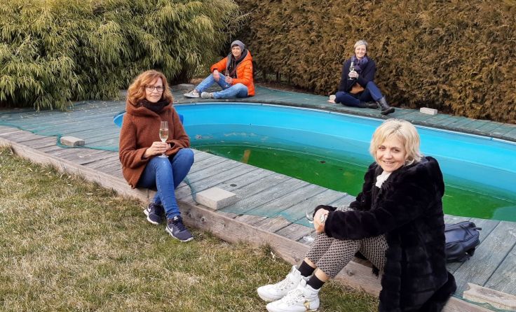 Margit Eichinger (v.l.), Monika Wintersteiger, Karina Gut und Sigrid Kleinbruckner Foto: OÖVP