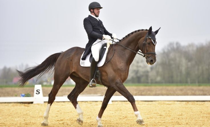 Alexander Spohr (Foto: TEAM myrtill)