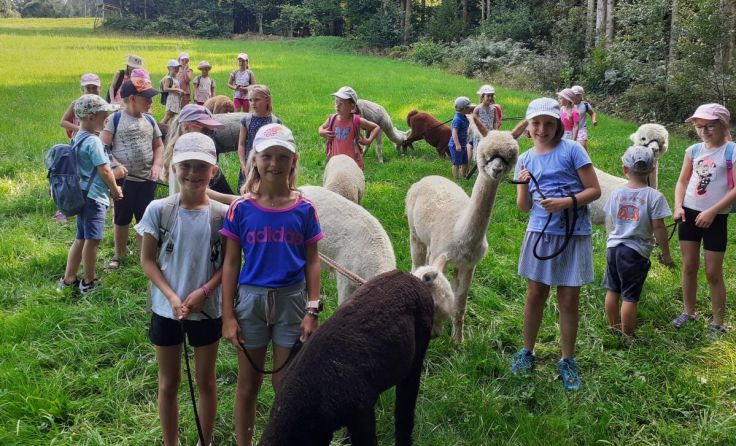 Die Kinder hatten viel Spaß mit den Alpakas. (Foto: Gangl)