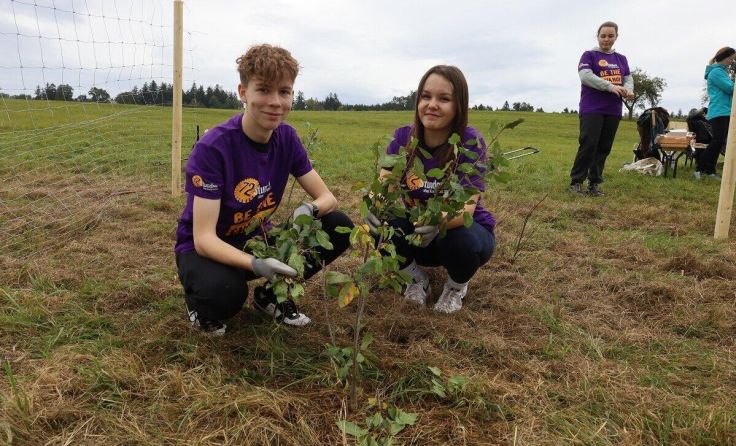Unter anderem beim Verein "Lebensraum Natur" setzten sich die BORG-Schüler ein. (Foto: Caritas)