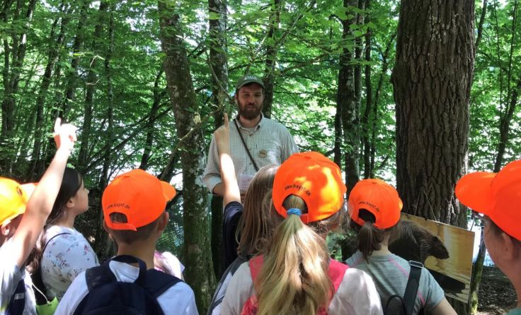 Mit einem Forstpaten erkunden die Schulkinder den Wald. (Foto: AELF Passau)