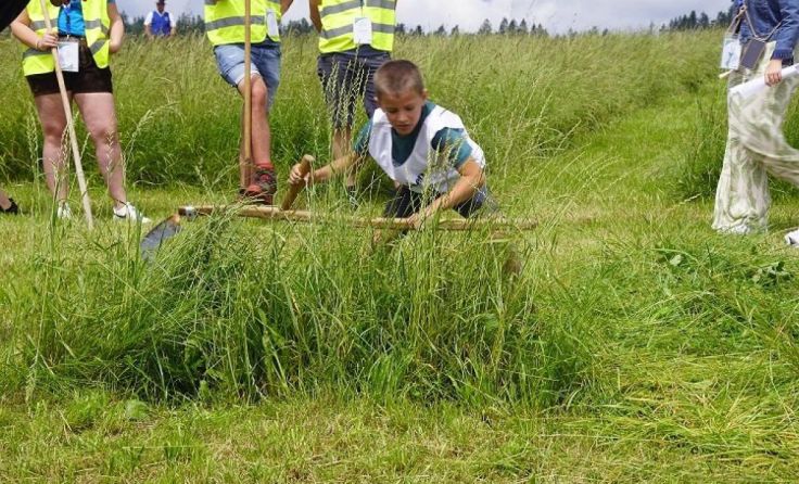 auch die kleinsten Mäher zeigten ihr Können an der Sense. (Foto: Landjugend Oberösterreich)