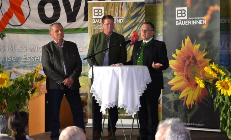 Alois Gimplinger (v.l.), Manfred Hofinger und "Gust" Wöginger (Foto: Seiringer OÖ.BB)
