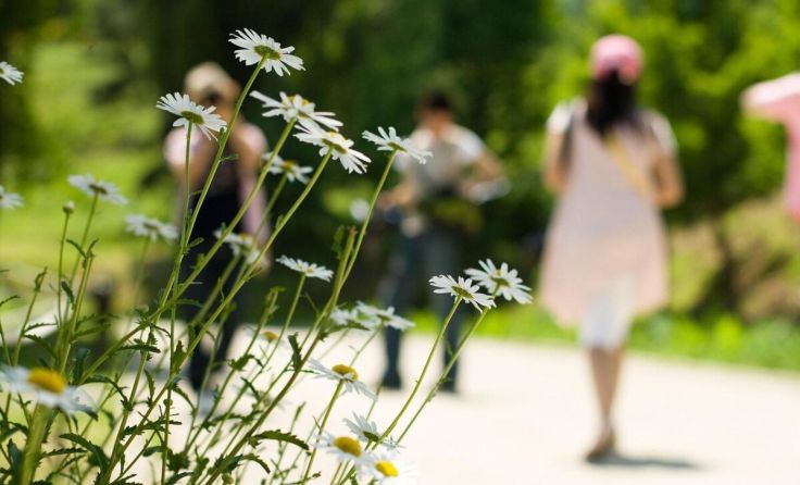 Der Wandertag in St. Florian findet heuer am 27. April statt. (Foto: Pixabay/Yeongkyu)