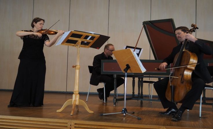 Annegret Siedel spielt auf einer Original Stainer Violine. Foto: LMS Kirchdorf
