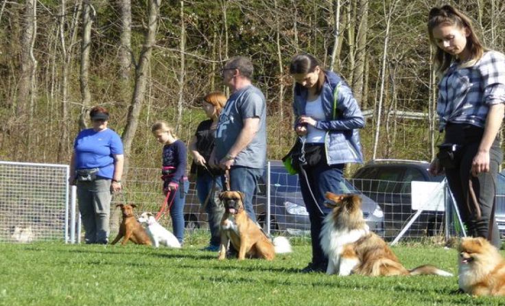 Die Kurse bieten sowohl für Mensch als auch Tier wichtige Grundlagen Foto: SVÖ Kremstal