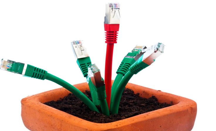 Nicht nur in Ballungszentren ist die Breitband-Internetanbindung wichtig. Foto: Wodicka