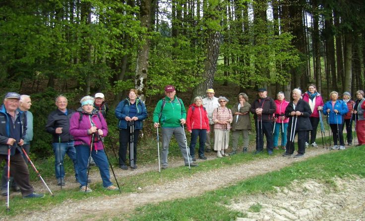 Die Teilnehmer der Rundwanderung genossen eine kurze Rast am Waldrand. Foto: Anton Sperl