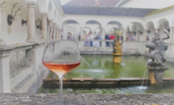 Edle Tropfen werden im herrlichen Ambiente des barocken Fischkalters verkostet. Foto: Orbis Vinorum