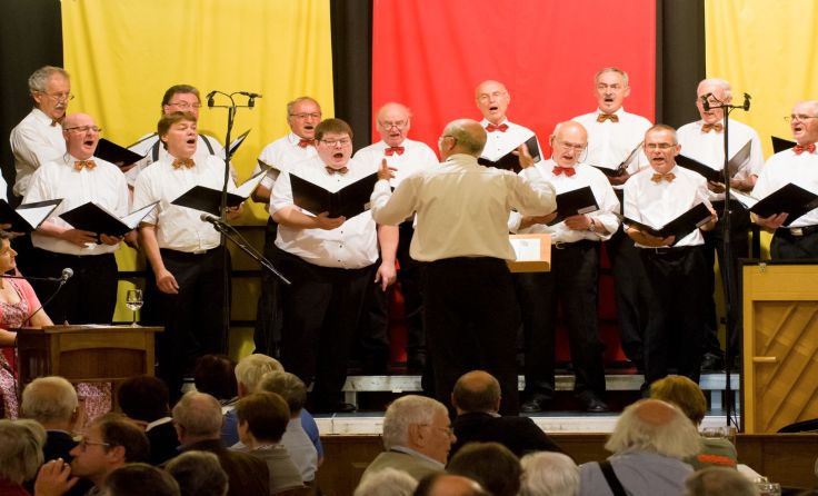 Die Kirchdorfer Liedertafel überzeugte mit einem Mix aus Klassik und Moderne. Foto: Liedertafel