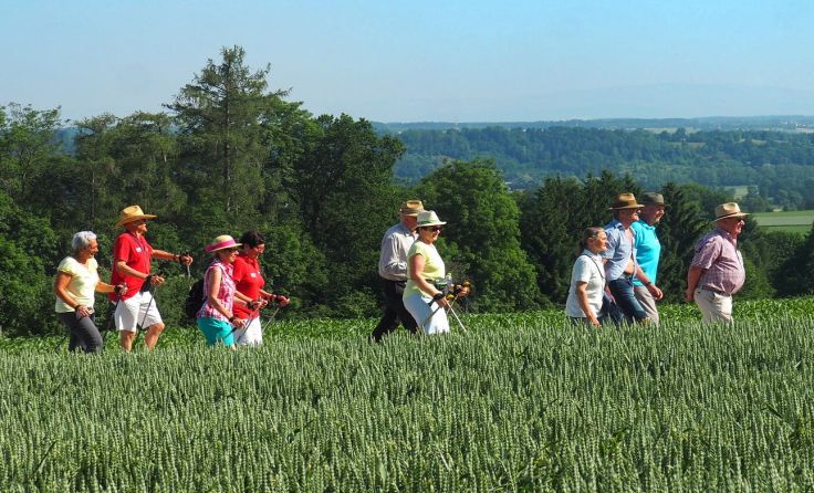 Die Senioren nahmen zahlreich an der Wanderung in Kremsmünster teil. Foto: Erich Braunreiter