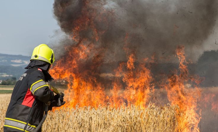 Ein Feldbrand ist leider keine Seltenheit in Trockenperioden. Foto: Hermann Kollinger