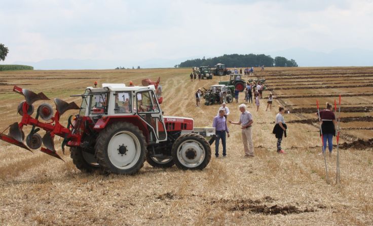 Die Landjugend ermittelte ihre besten Pflüger aus drei Bezirken. Foto: Landjugend Linz-Land