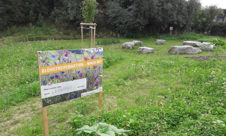 Ein neuer Blühstreifen für Insekten und ein schönes Plätzchen zum Erholen Foto: Stadt Leonding