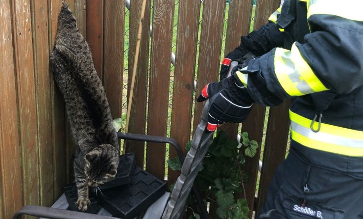 Die eingeklemmte Katze konnte von der FF Traun befreit werden. Foto: Florian Kollmann