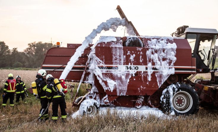  (Foto: Fotokerschi.at/Bayer)