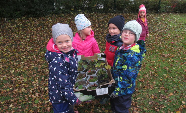 (Foto: Gemeinde Pasching)