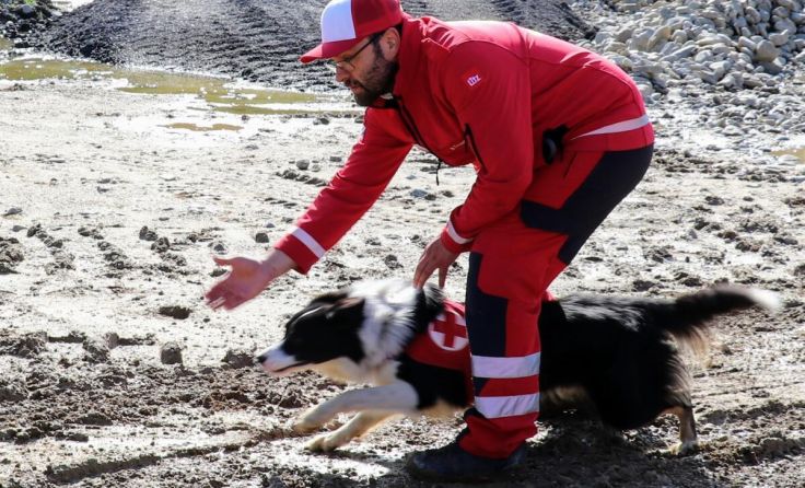 Der Leondinger Jason Tevnan (39) mit seinem Bordercollie Nox. (Foto: OÖRK)