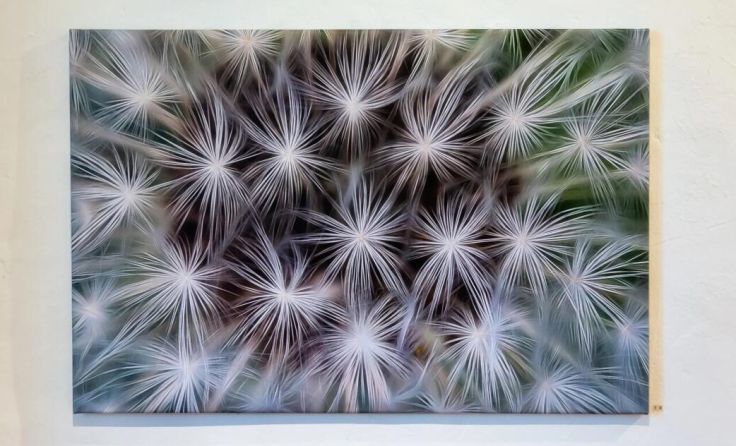 Bild aus der aktuellen Ausstellung: Löwenzahn Pusteblume von Helmut Ming (Foto: Lukas Riegel)