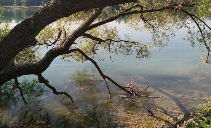 Der Oedter See (Foto: Tips/Affenzeller)