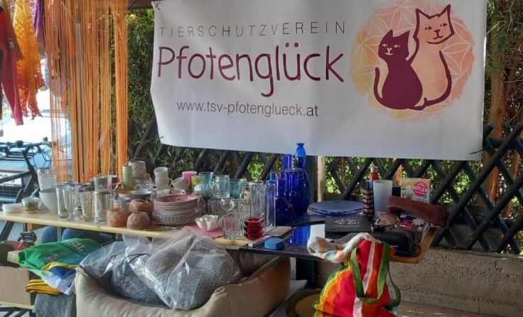 Der Tierschutzverein freut sich über Unterstützung. (Foto: TSV Pfotenglück)