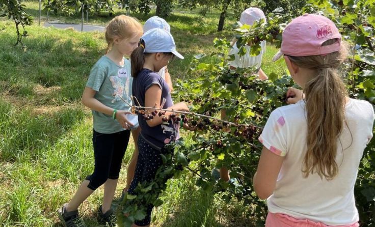  (Foto: Michaela Spachinger)