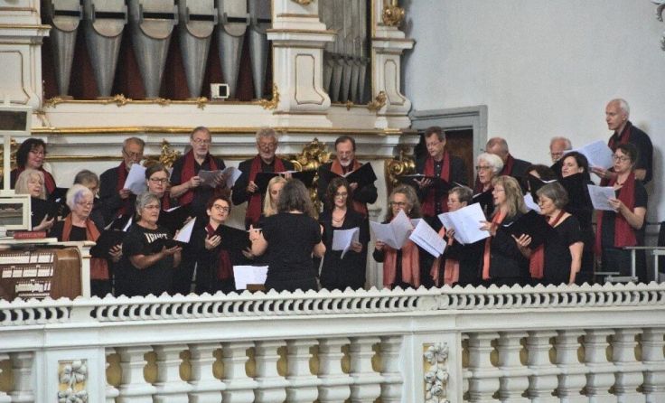 Der Anton Bruckner Kirchenchor bei einem Gastauftritt in der Basilika St. Florian. (Foto: privat)