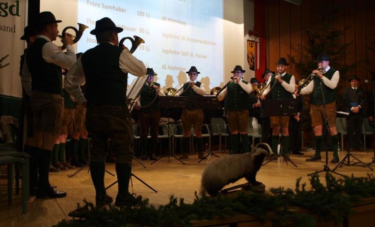 Die Jagdhornbläser sorgten für das perfekte Ambiente. (Foto: Tips/Ramaseder)