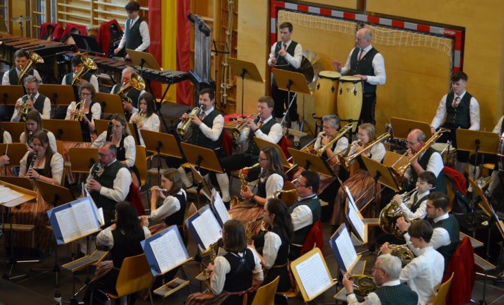 Der MV Dörnbach überzeugte mit einer Goldmedaille. (Foto: Blasmusikverband LL)