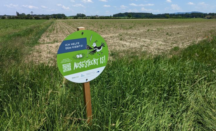 Mit diesen Schildern werden Kiebitz-Nester markiert. (Foto: Manfred Hesch)
