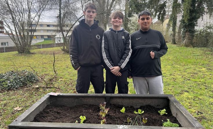 Die ersten Pflänzchen gedeihen bereits im Hochbeet. (Foto: JCUV)