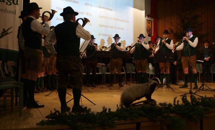Die Jägerschaft in Linz-Land sieht der neuen Verordnung positiv entgegen. (Foto: Tips/Ramaseder)