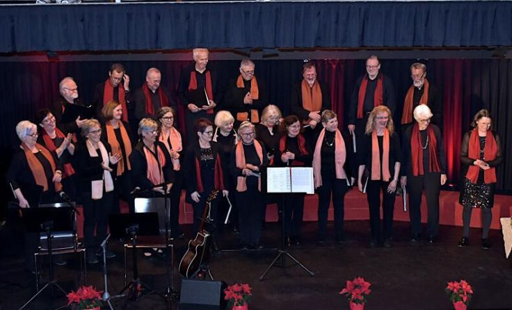 Der Anton Bruckner Kirchenchor begeisterte beim "Advent in Ansfelden". (Foto: privat)
