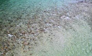 Erste Schritte für Renaturierung der Traun in Ansfelden