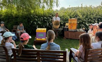 Volksschüler aus Kirchberg-Thening tauchen in die Welt der Bienen ein